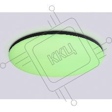 Умный светодиодный светильник FZ2005 BK черный IP54 25W 3000K-6500K+RGB Wi-Fi Алиса/Tuya/Smart Home/Alexa D370*55 (ПДУ ИК)