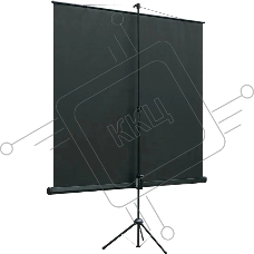 Экран на штативе Lumien LEV-100116 Eco View 120х120см (67