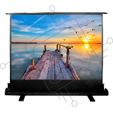 Экран Cactus 113x200см FloorExpert CS-PSFLE-200X113 16:9 напольный рулонный