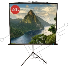 Экран 180x180см TriScreen 1:1 напольный рулонный ЧЕРНЫЙ 100'