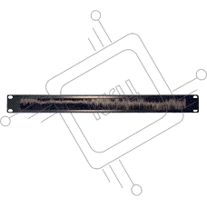 Органайзер LANMASTER (LAN-ORG/BP-1U) Кабельный 19