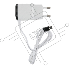 Сетевое зарядное устройство Redline NC-2.1AC 2.1A черный