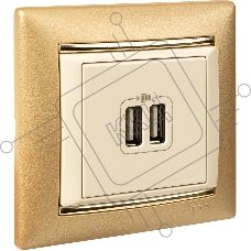 Розетка 2-ая USB  774170  Legrand Valena Сл. кость
