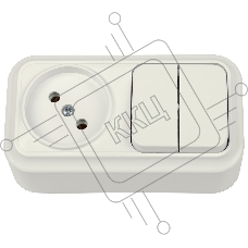 Блок (2 выкл. + роз) Bylectrica ОУ серия ВАРИАНТ, (2В-РЦ-7121 бежевый)
