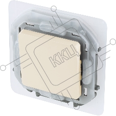 Переключатель IP44 10AX 250В слоновая кость