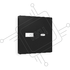 Лицевая панель ALFA (Черный матовый) для розетки 2USB тип A+C QUANT AP8110