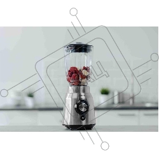 Блендер Zelmer ZSB4850 INOX