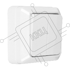 Выключатель 2-кл. открытой установки IP20 10А, белый Альфа General