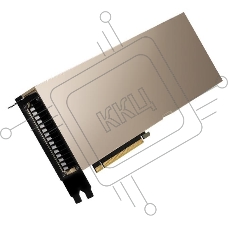 Видеокарта NVIDIA A100 80 GB HBM2 with ECC/5120 bit,PCI Express 4.0 x16, Dual Slot, Full Height