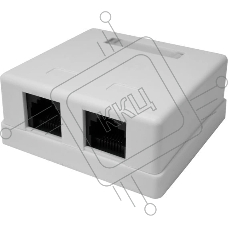 Розетка компьютерная 2-м 8P8C (RJ-45) UTP кат.5E SUPRLAN 10-0309