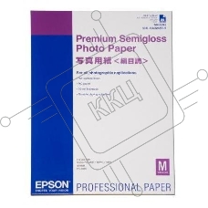 Бумага EPSON C13S042091 Premium Glossy Photo PaperA2 EPSON 25s