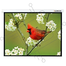 Экран Lumien 171x128см Master Picture LMP-100108 4:3 настенно-потолочный рулонный белый