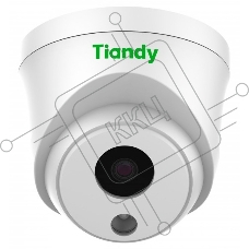 Камера видеонаблюдения IP Tiandy TC-C34HS Spec:I3/E/Y/C/SD/2.8mm/V4.2 2.8-2.8мм (TC-C34HS SPEC:I3/E/Y/C/SD/2.8)