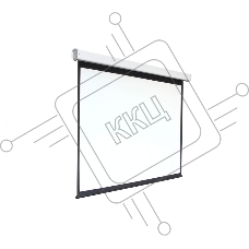 Экран 168x300см Digis Electra-F DSEF-16906 16:9 настенно-потолочный рулонный (моторизованный привод)