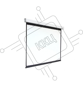 Экран 168x300см Digis Electra-F DSEF-16906 16:9 настенно-потолочный рулонный (моторизованный привод)