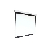 Экран 168x300см Digis Electra-F DSEF-16906 16:9 настенно-потолочный рулонный (моторизованный привод)