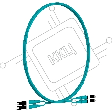 Патч-корд Panduit FZ2ELLNLNSNM002 2x50/125 OM4 LC дуплекс-LC дуплекс 2м LSZH аквамарин