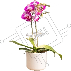 Светильник фито Cactus GARDEN светод. 7.5Вт цв.св.:белый (CS-LED-ORCHID)