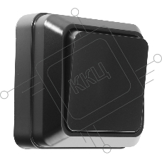 Выключатель 1-кл. открытой установки IP20 10А, черный Альфа General