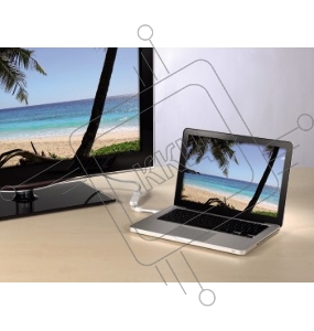 Адаптер Video Hama DisplayPort mini (m)/DVI-D(f) 0.1м феррит.кольца экран. Позолоченные контакты