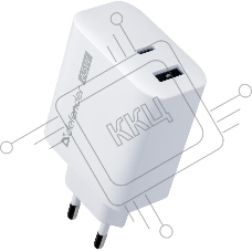 Зарядное устройство DEFENDER UPA-165 USB A+C 65W 83582