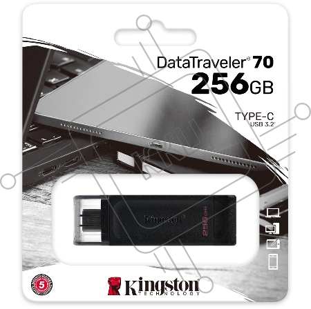 Флеш Диск Kingston 256Gb DataTraveler 70 DT70/256GB USB3.2 черный