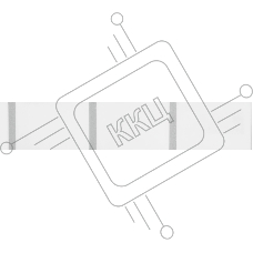 Термоэтикетки Niimbot 1747505 сег.:40x60мм 125шт/рул Niimbot B1/B21/B3S оранжевый