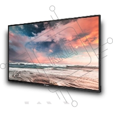 Профессиональный дисплей GoodView 55