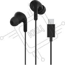 Наушники Xiaomi  Type-C  черный M2413E1