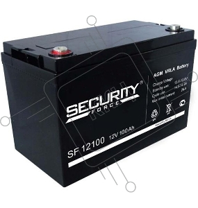 Батарея DELTA Secuirity Force SF 12100