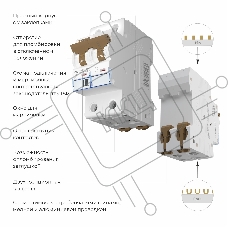 Автоматический выключатель Werkel 2P 10 A C 6 кА W902P106