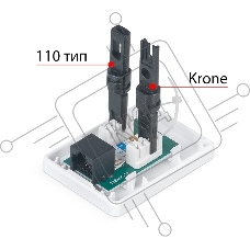 Розетка в сборе Cabeus, 1x RJ45(8P8C), кат. 6, неэкр., внешняя, цвет: белый, (WS-8P8C-Cat.6-1)