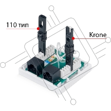 Розетка в сборе Cabeus, 2x RJ45(8P8C), кат. 6, неэкр., внешняя, цвет: белый, (WS-8P8C-Cat.6-2)