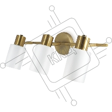 Настенно-потолочный спот TR3972/3 BS/FR латунь/белый матовый E27*3 max 40W 460*80*140