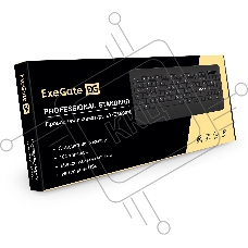 Клавиатура ExeGate Professional Standard LY-E5500M проводная, USB, чёрный
